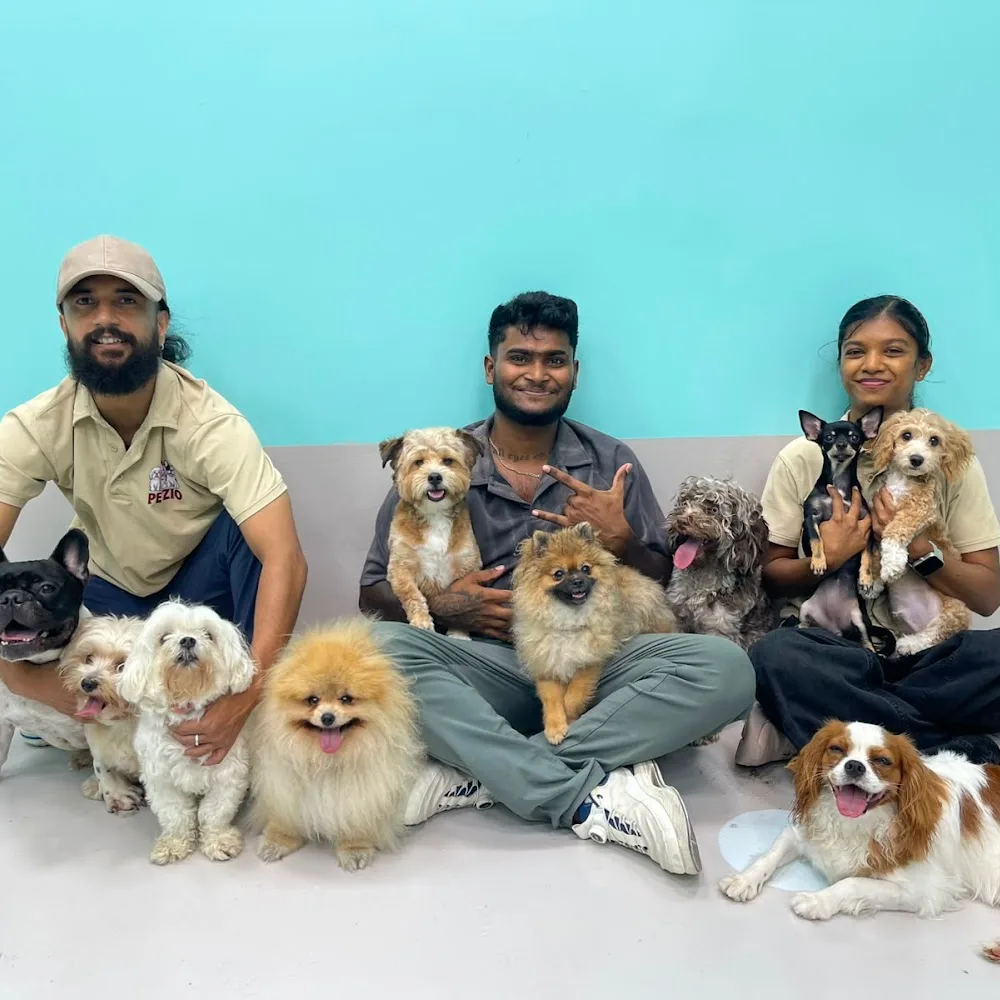 Petzio Pet Boarding and Grooming L.L.C