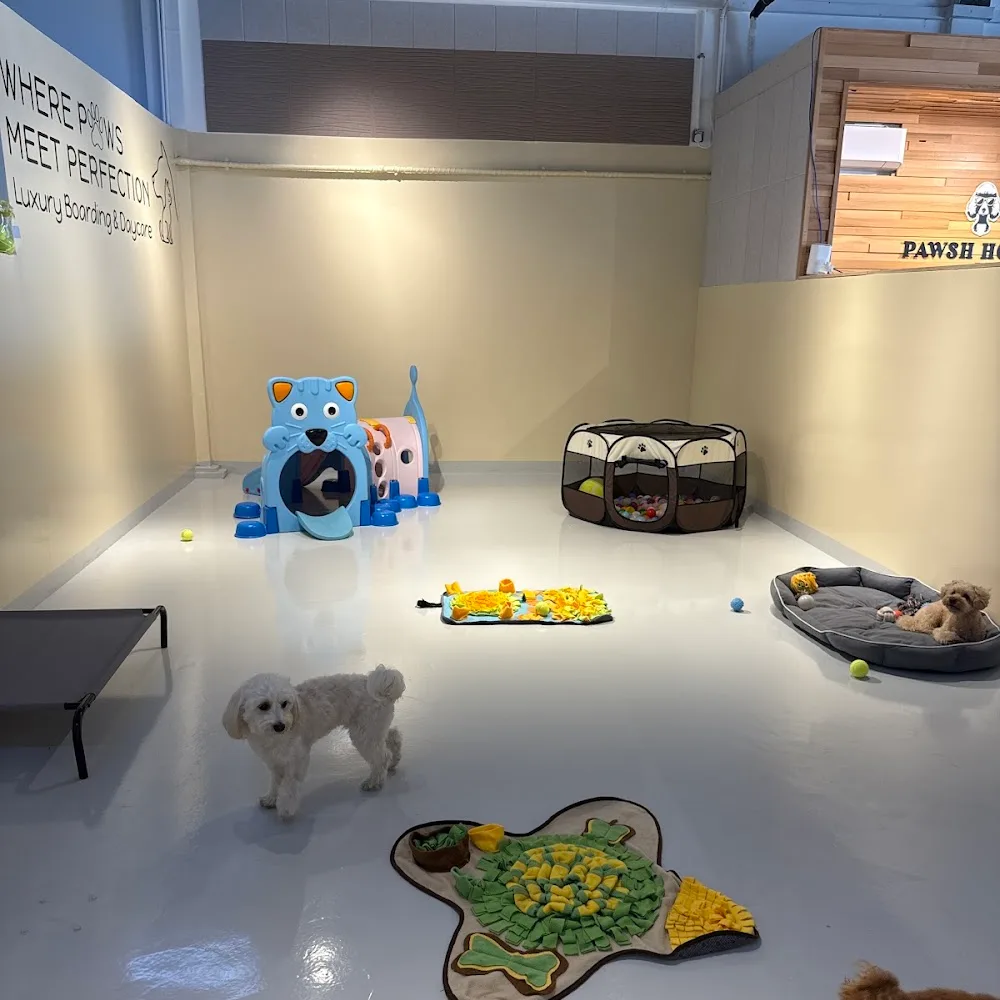 Pawsh Hotel