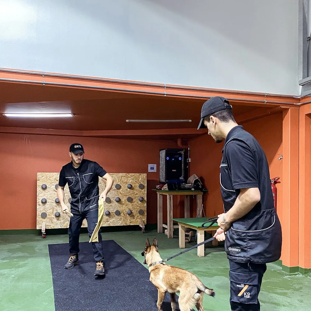 The Barkley Pet Camp