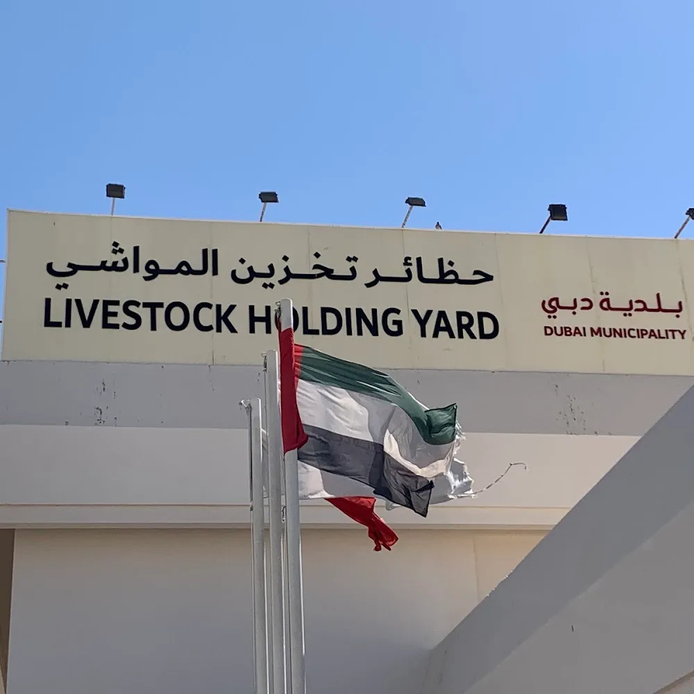 Dubai Municipality