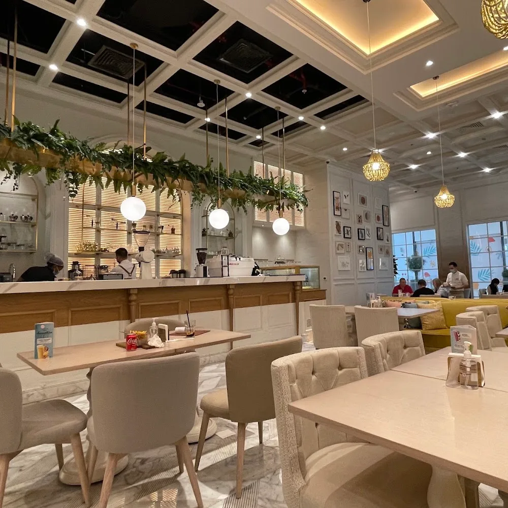 Mitts and Trays Dubai Hills
