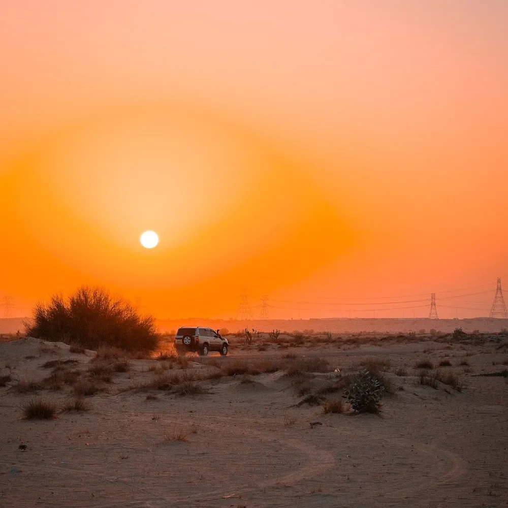 Dune Buggy & Quad Biking Dubai