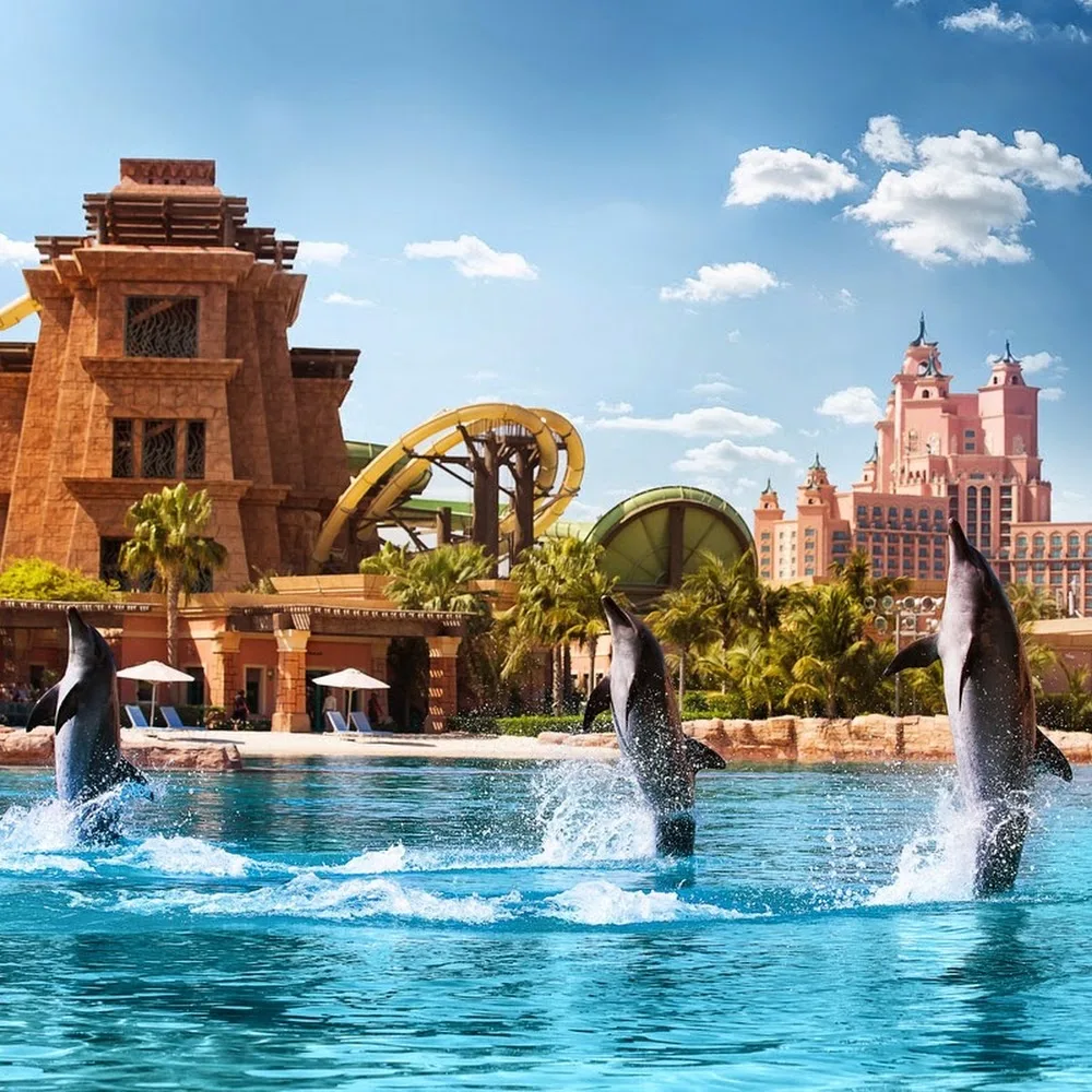 Dolphin Bay at Aquaventure World