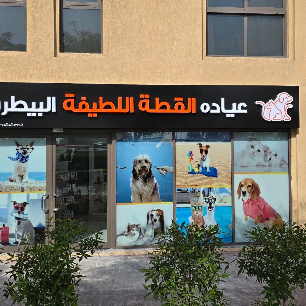 Cute Cat Veterinary Clinic - Dubai