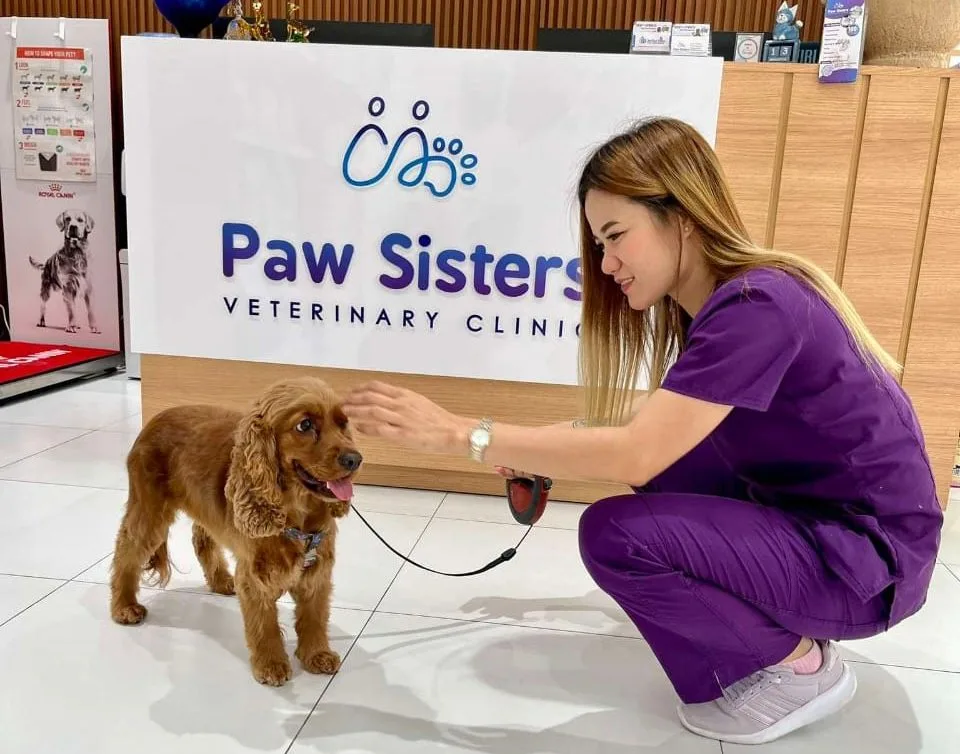 Paw Sisters Veterinary Clinic
