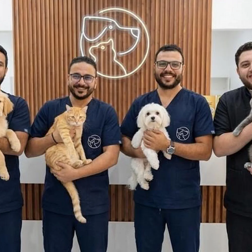 Hub Pet Veterinary Clinic