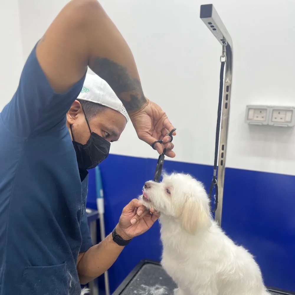 Pawfessor Pets Grooming