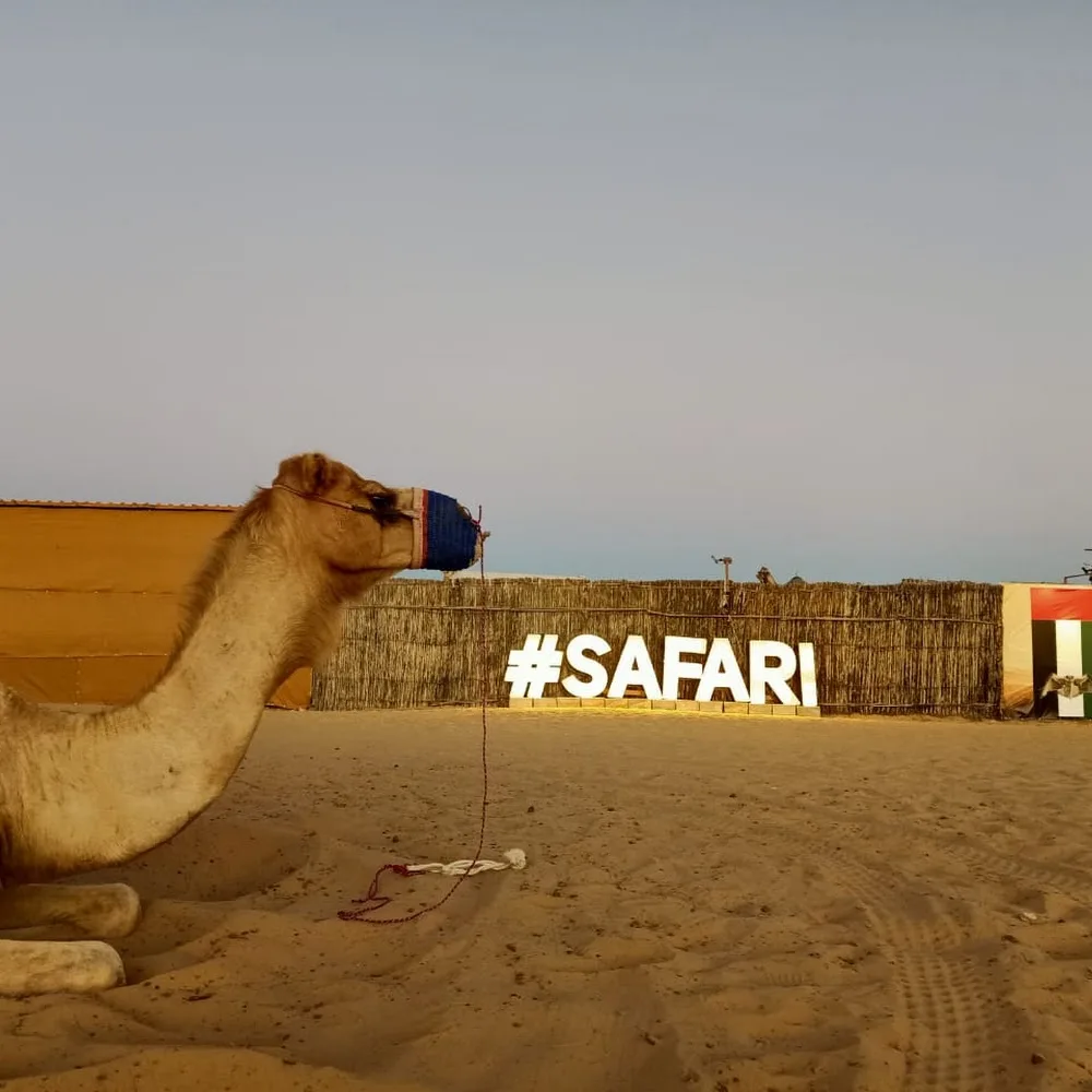 Capital Gate Tourism - Desert Safari Abu Dhabi