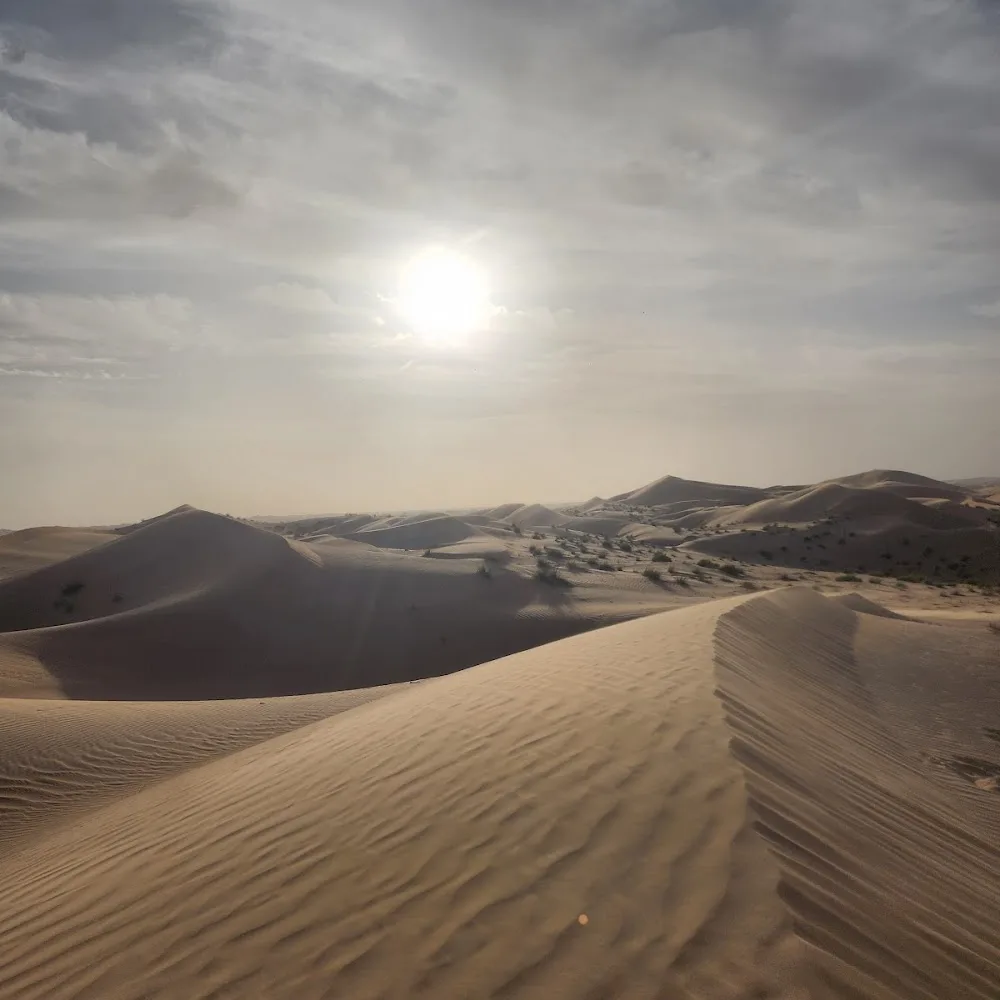 Abu Dhabi Desert Trips
