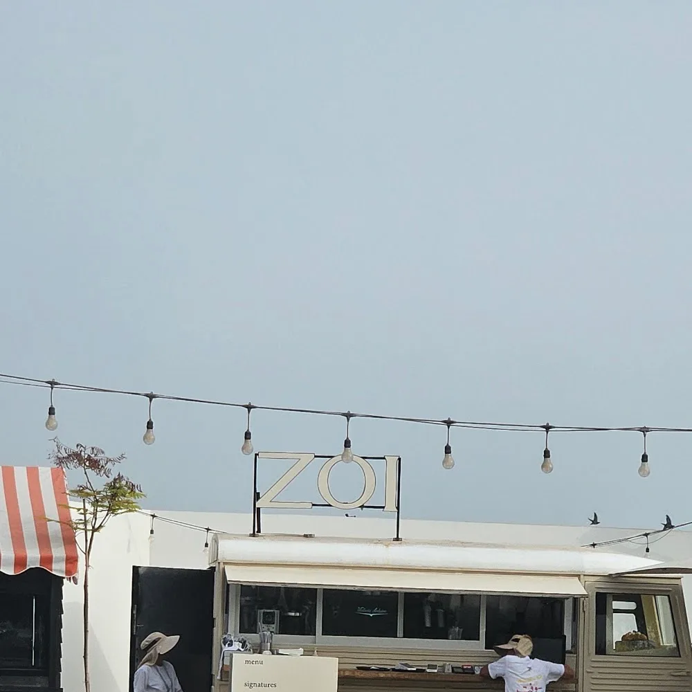 ZOI Truck AlQurm