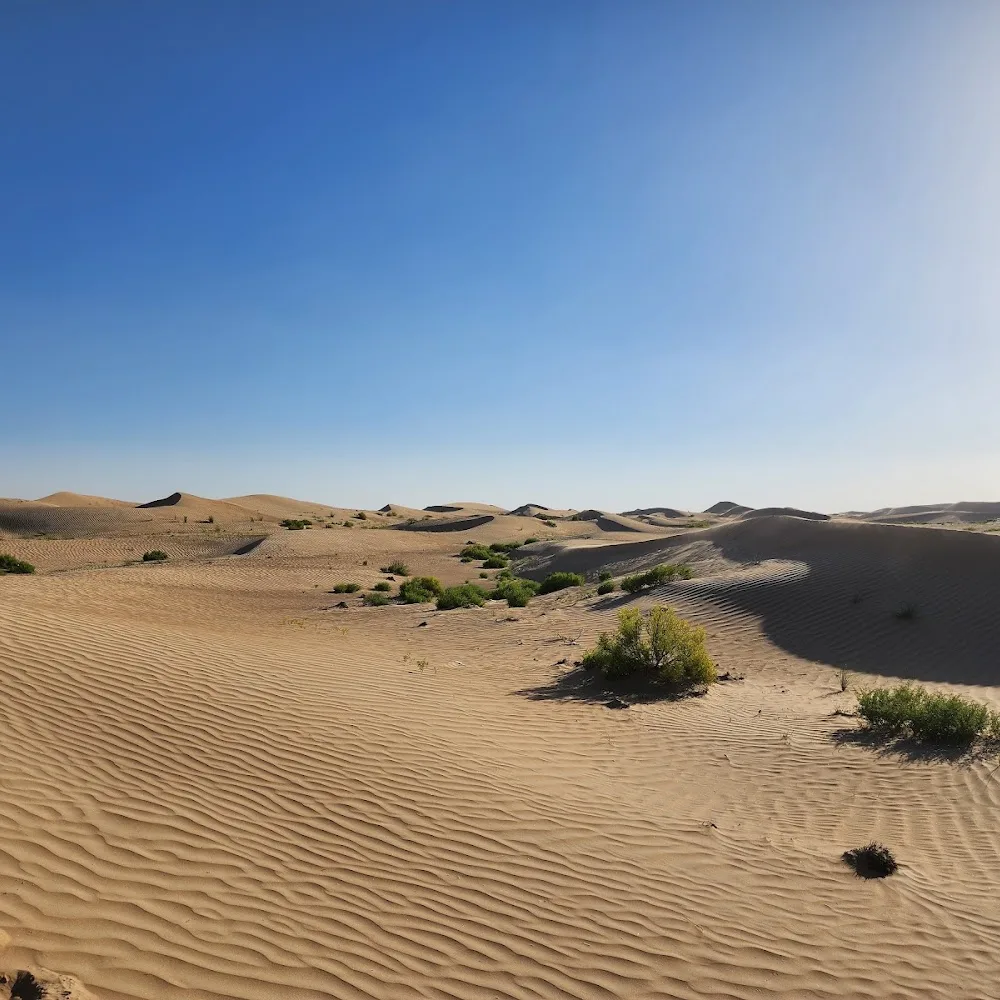 Desert Rose Safari Meeting Point