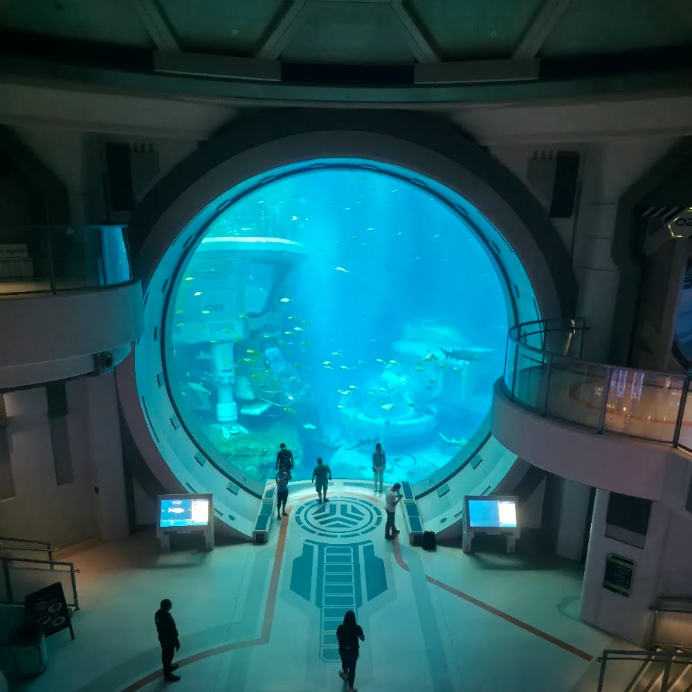 SeaWorld Abu Dhabi | سي وورلد جزيرة ياس، أبوظ