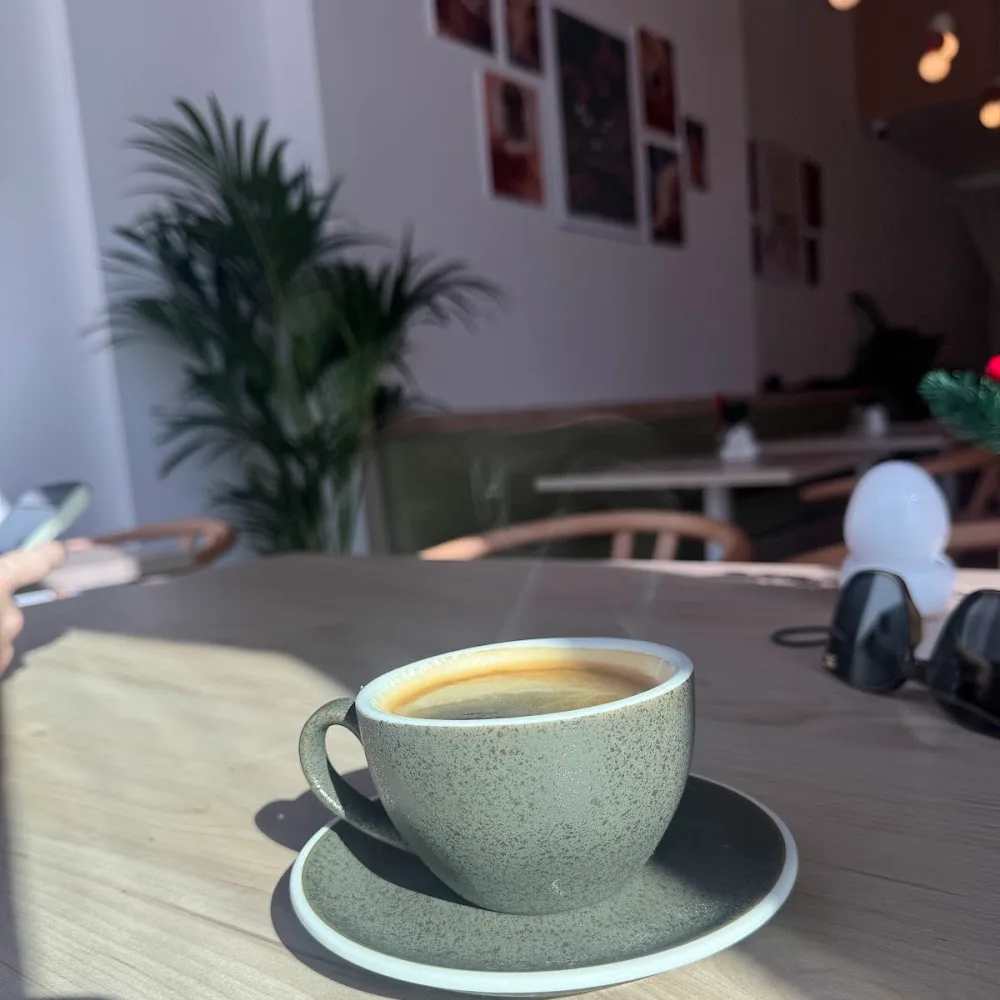 Stella's Coffee House - JVC