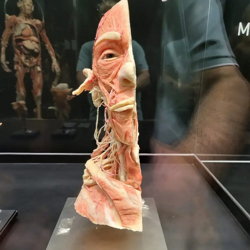 Body Museum