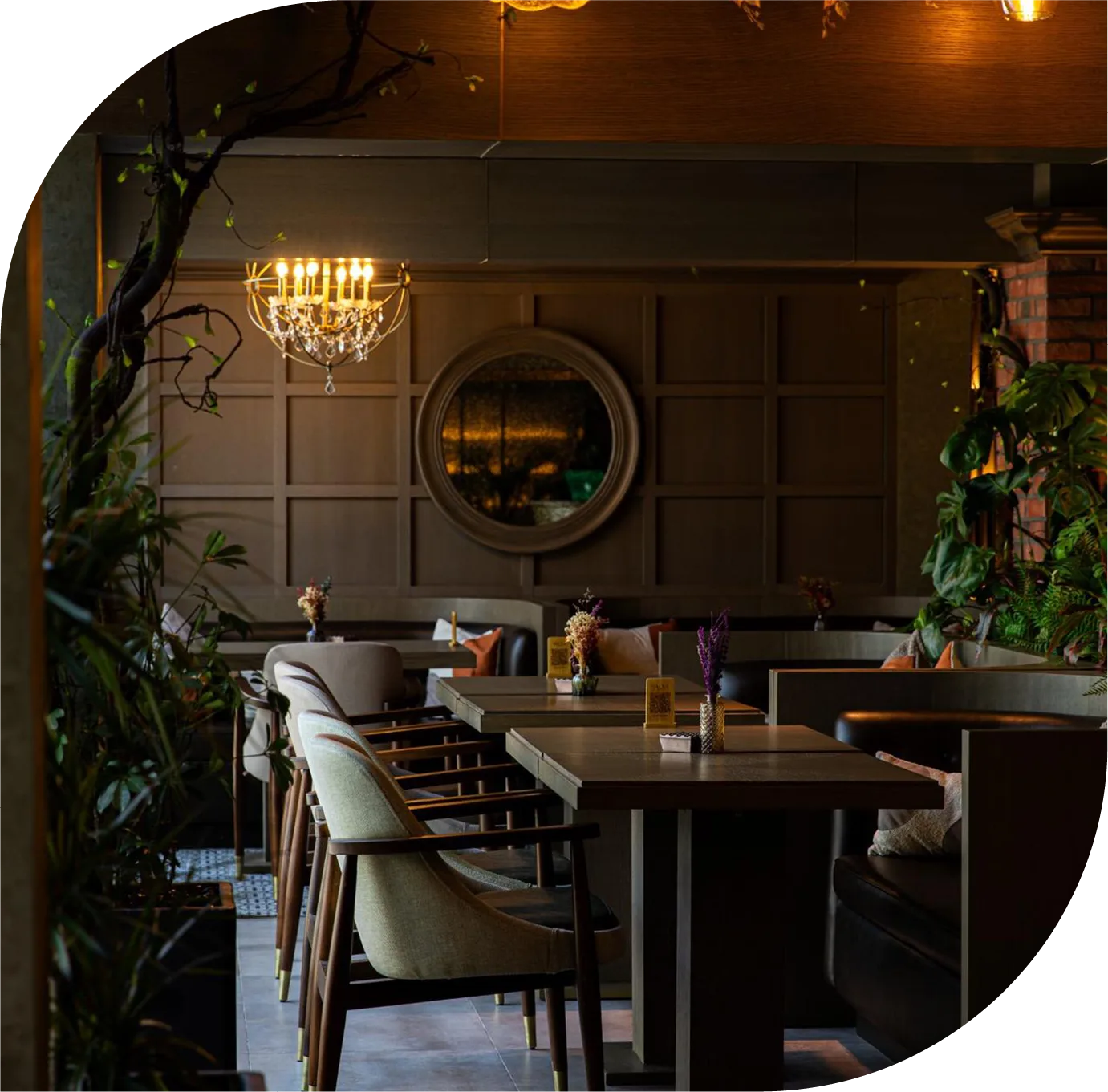Savour Restaurant and Premium Shisha Lounge