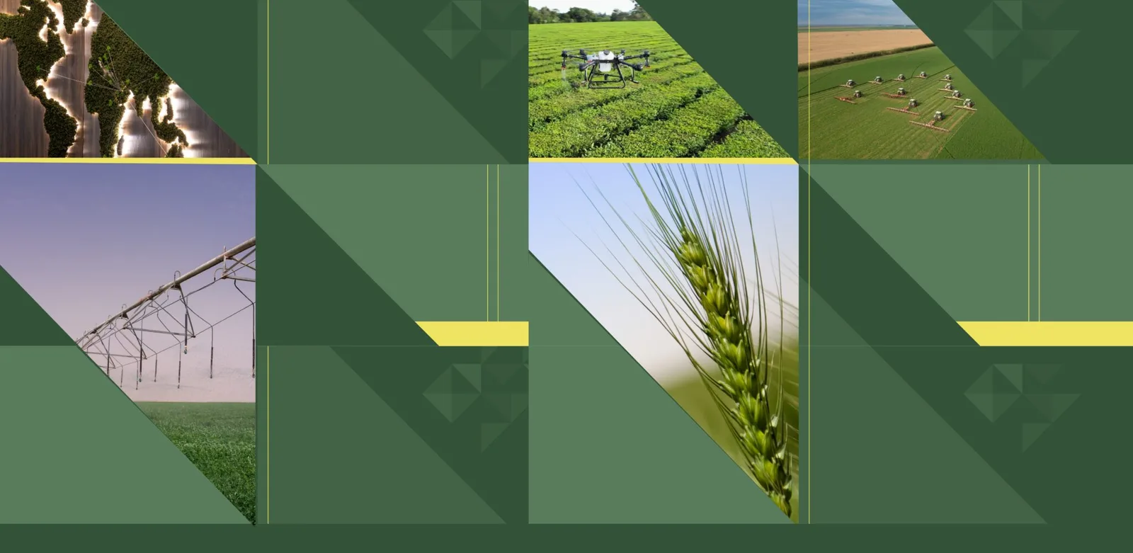 Al Dahra Agriculture - Al Faya