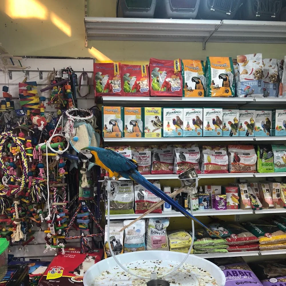Abu Dhabi Animal Market/ Mina Animal Market