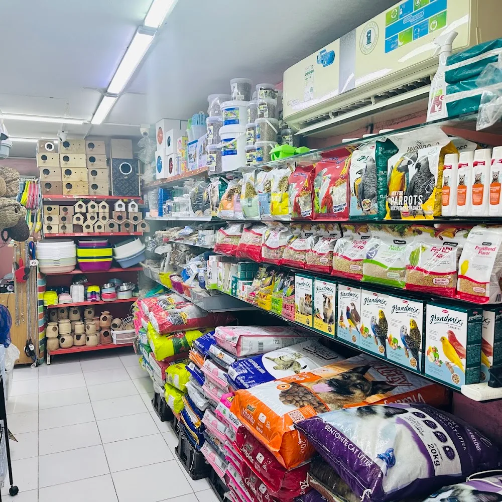 AL mina birds and animals market