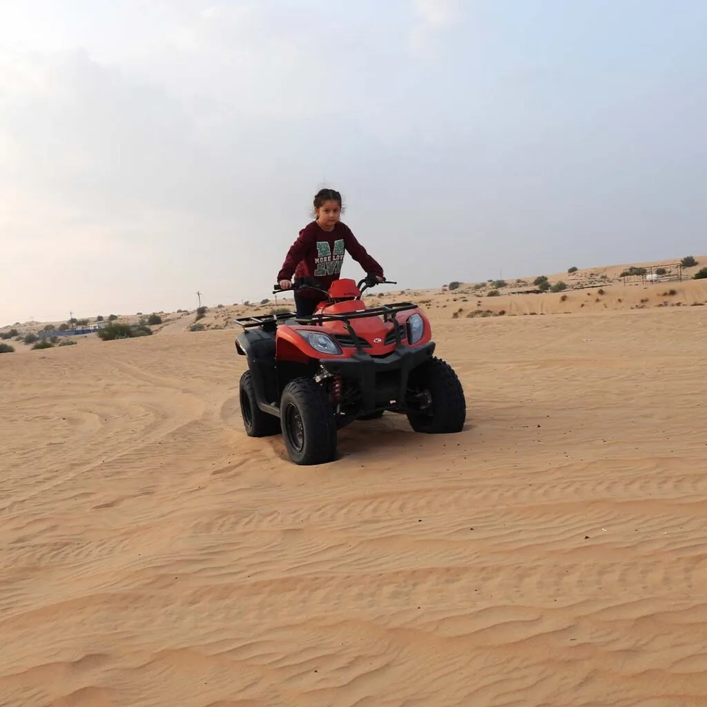 Desert Vibes Tourism