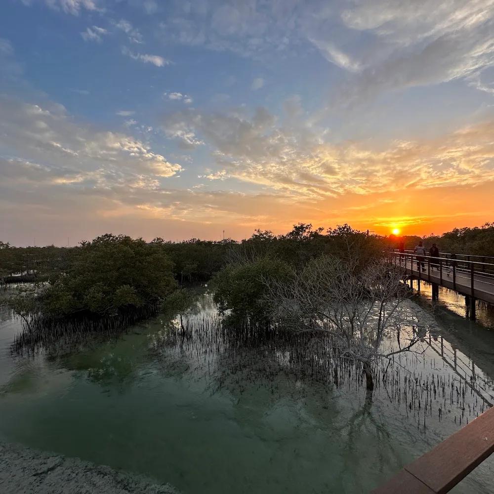 Jubail Mangrove Park