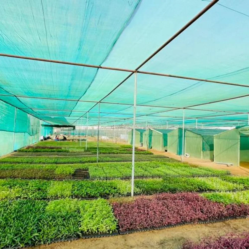 Emirates Flora