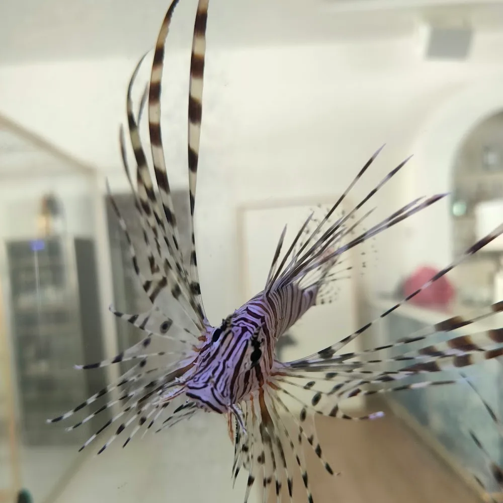 Aqua Art LLC - Aquarium Manufacturing Unit
