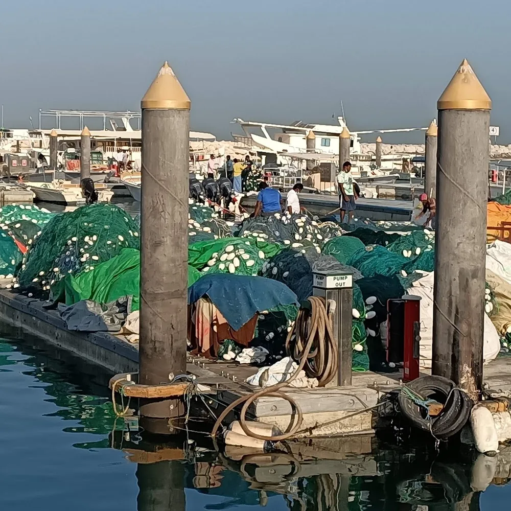 Fish Market Jumeirah 1