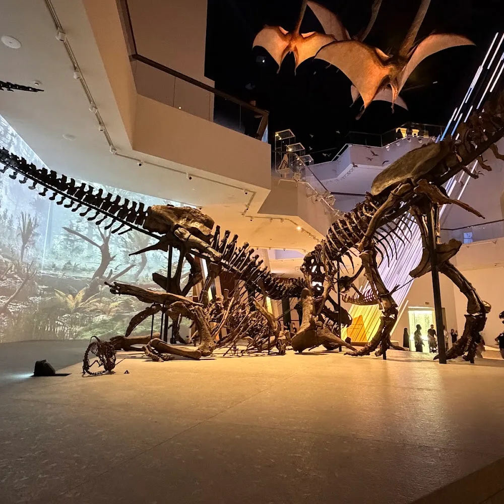 Natural History Museum Abu Dhabi