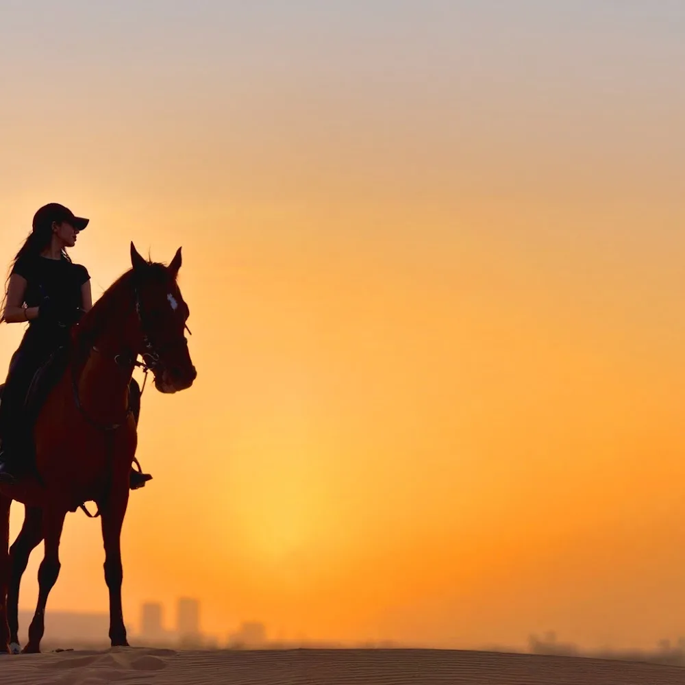 Dune Hill Equestrian Club