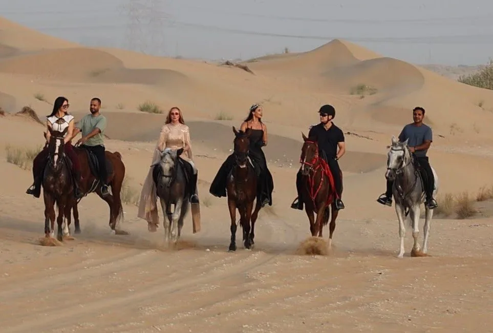 M11 Equestrian Club