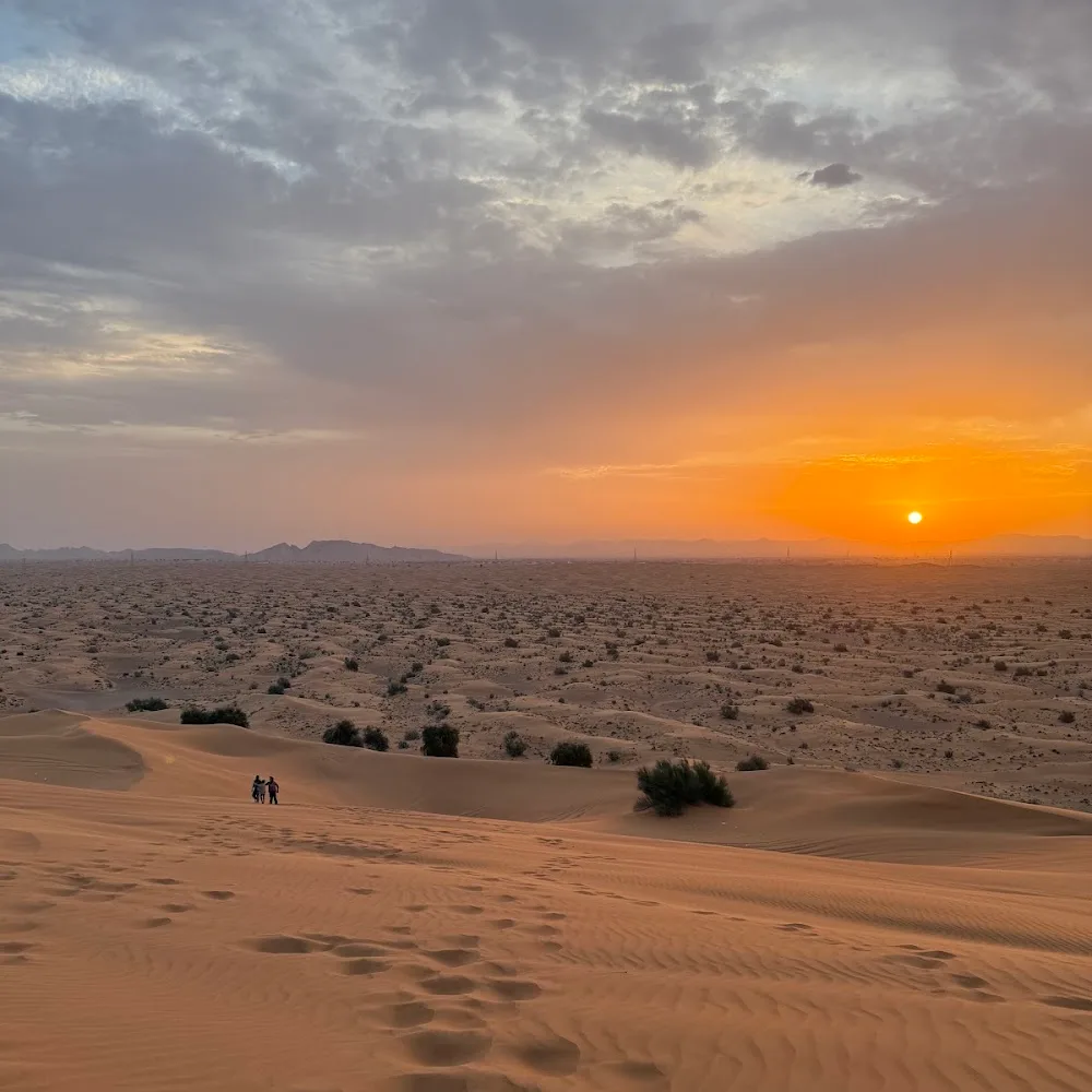 Morning Desert Safari
