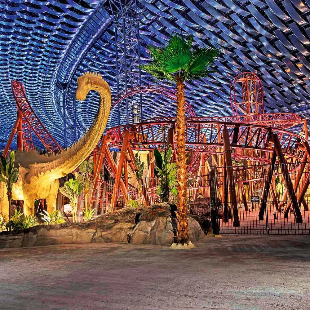 Daily Desert Tourism L.L.C
