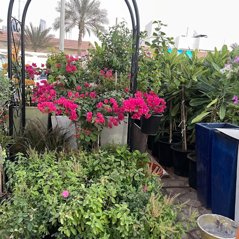 City Spring Landscaping Garden center