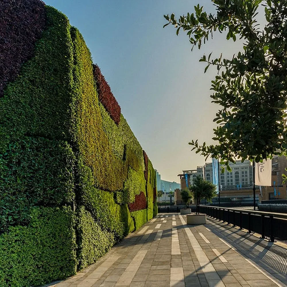 GOVER HORTICULTURE L.L.C | Green wall | Vertical Garden| Moss wall
