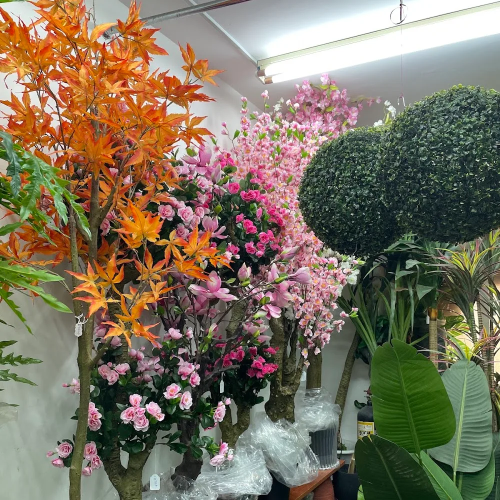 Royal corner flower trading