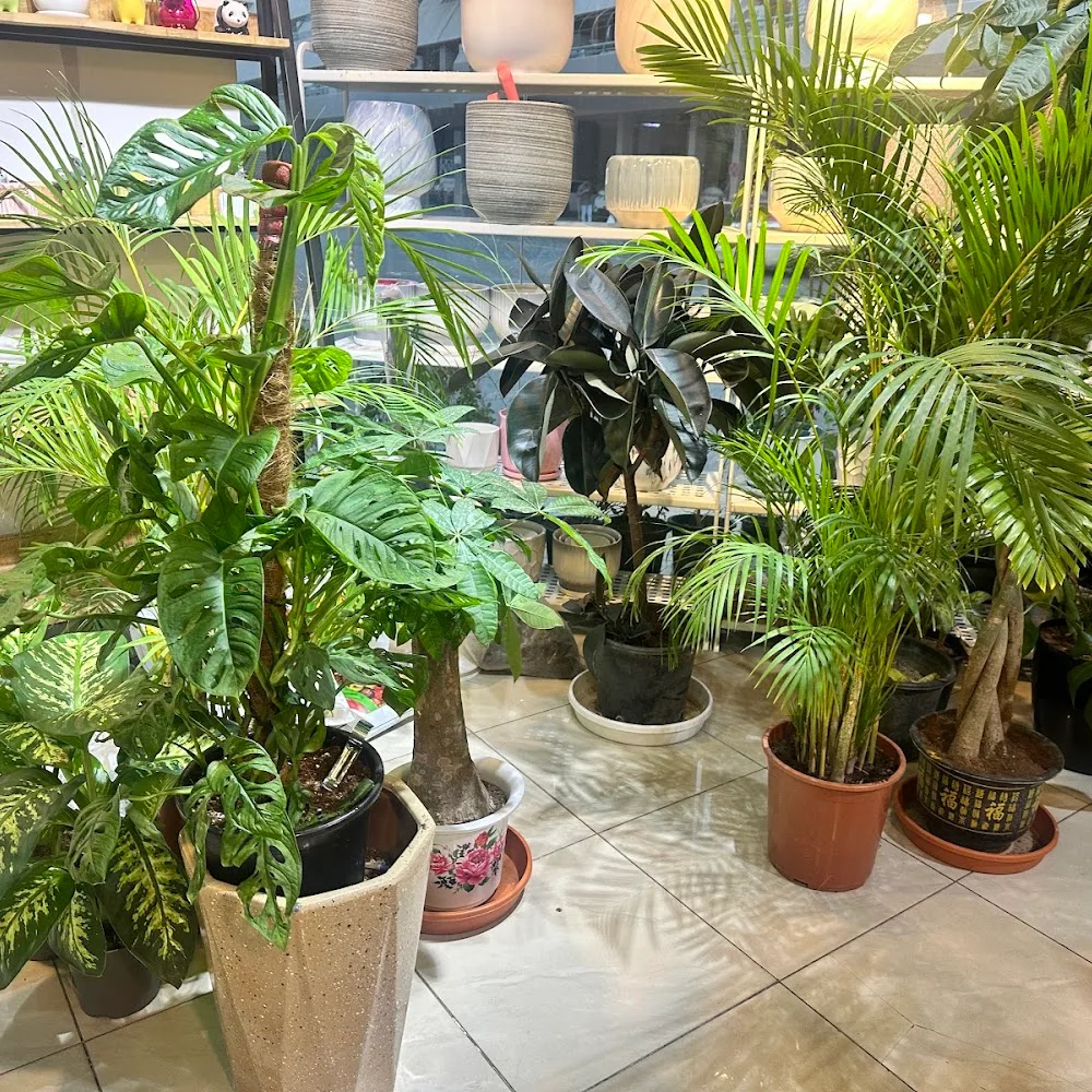 Happy Pot Plants and Flowers LLC