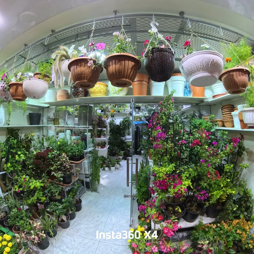 Oxygreen Plants LLC