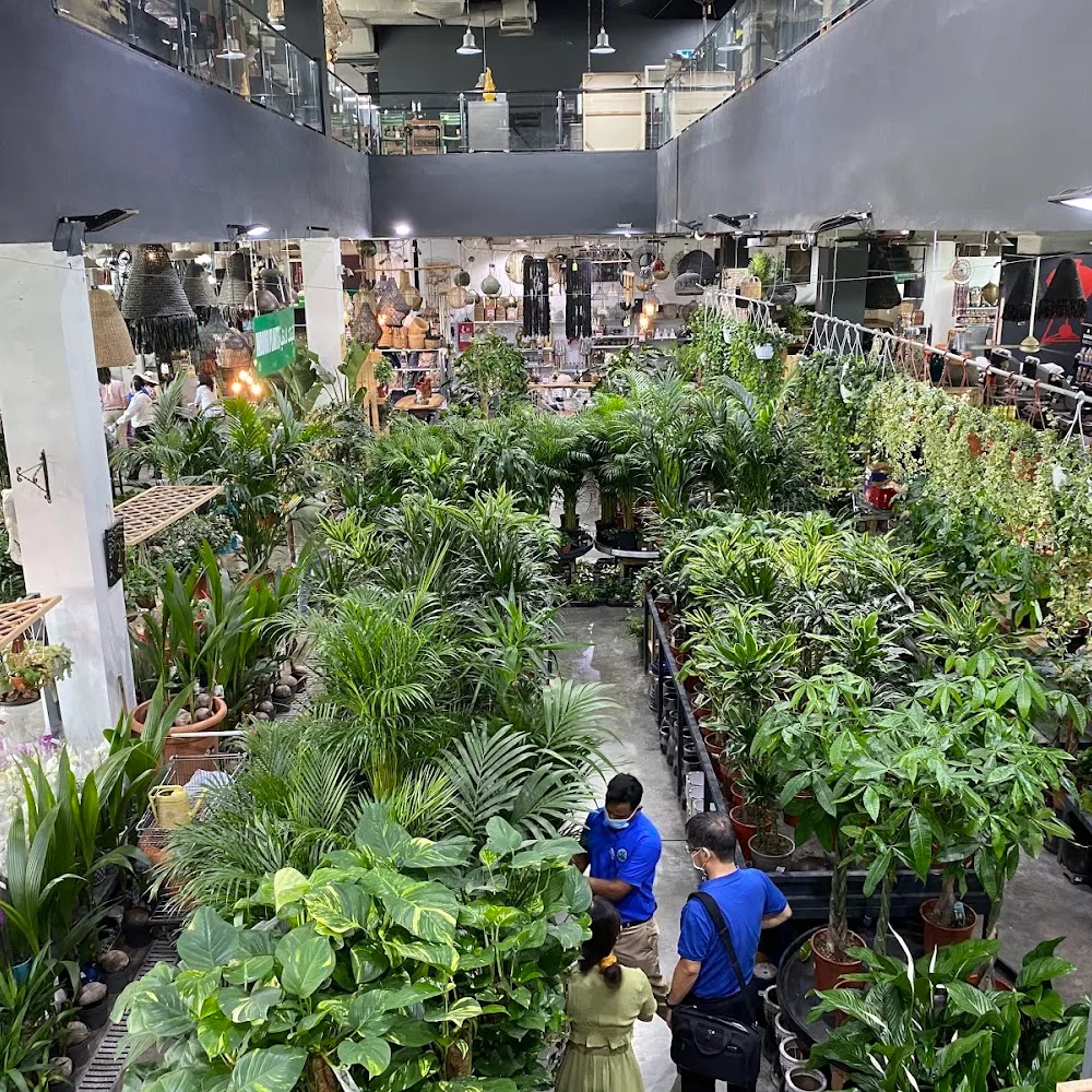 Dubai Garden Centre