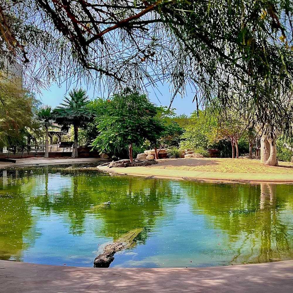 Dubai Crocodile Park