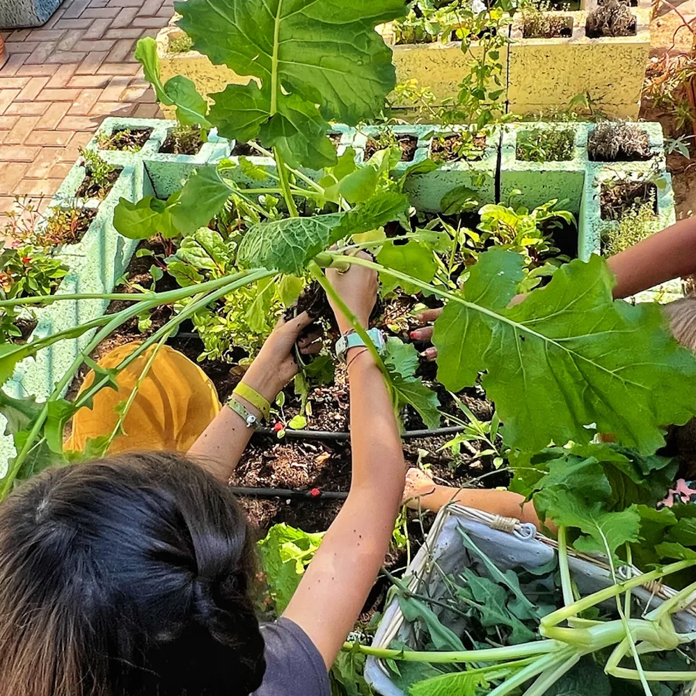 Seed to Soul Nature Connection