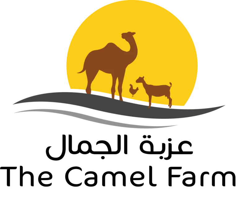 The Camel Farm