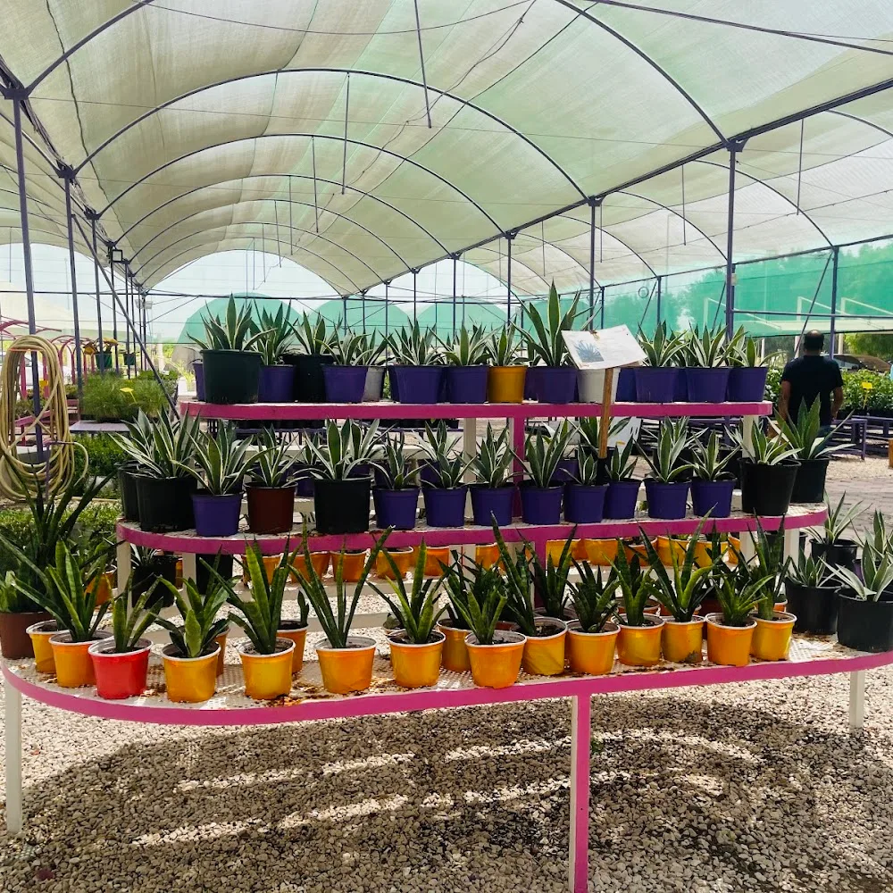 DUBAI NURSERY L.L.C