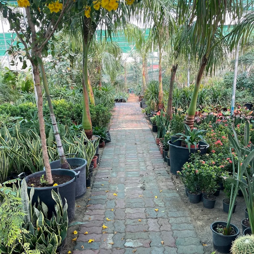 Al warsan nursery