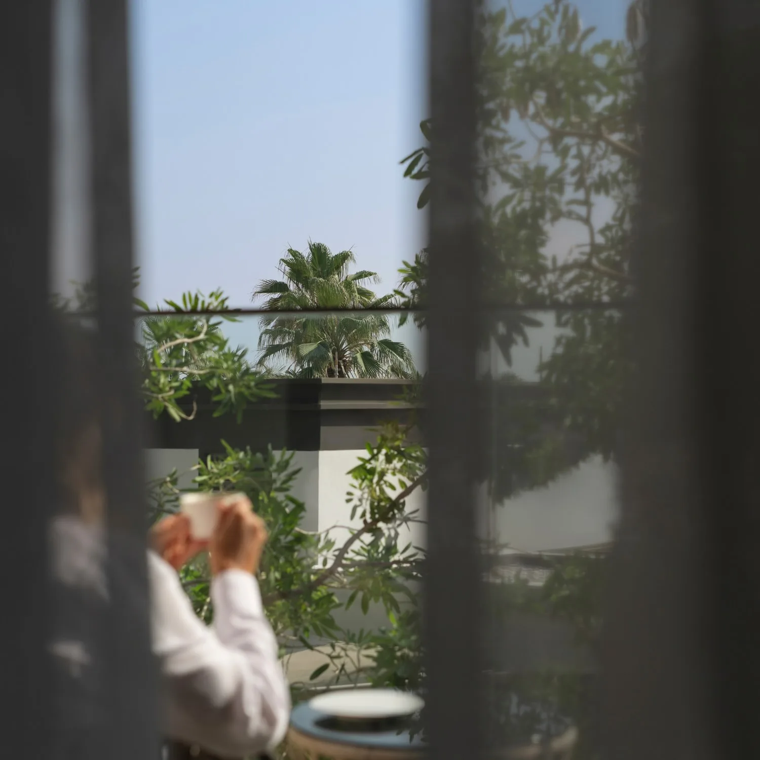 Delano Dubai