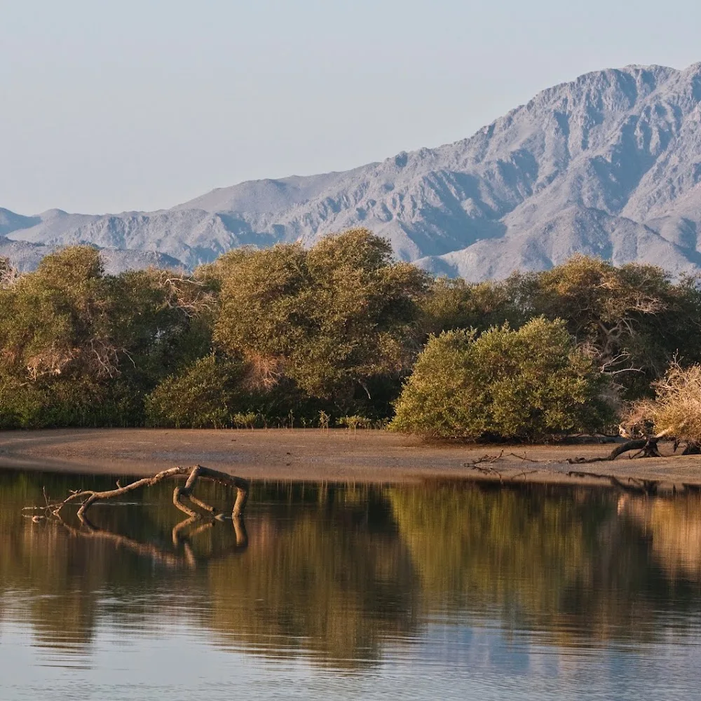 Khor Kalba Conservation Reserve