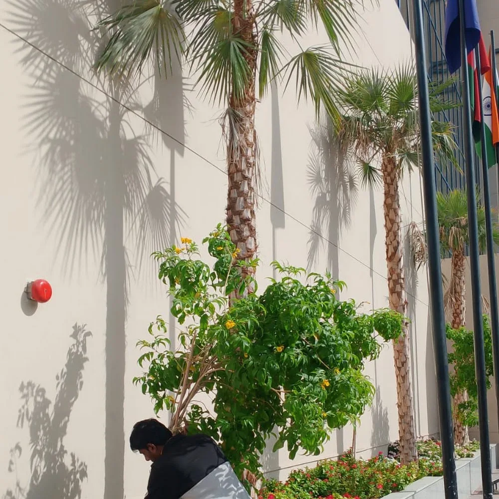 Garden Oasis Landscaping Dubai | Indoor & Outdoor Plant Shop dubai