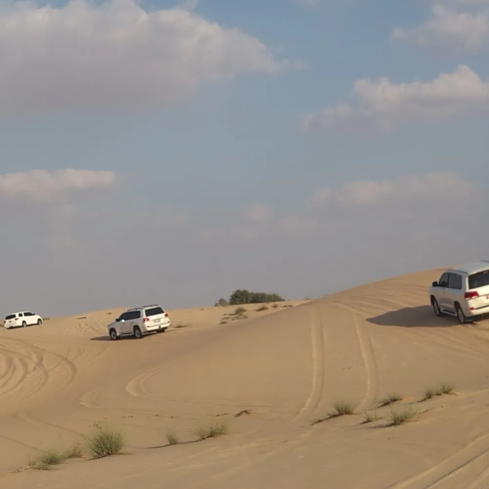 Emirates Tours & Safari Desert Meeting Point | Best Desert Safari In Abu Dhabi