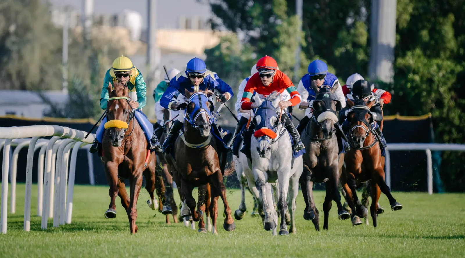 Abu Dhabi Turf Club